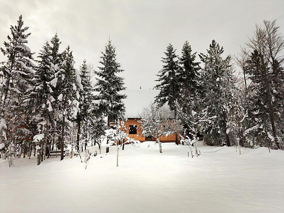 Dren - Banjska Stena Mitrovac Extérieur photo
